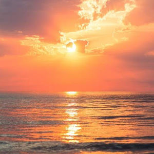 Meet your Posher, Josie